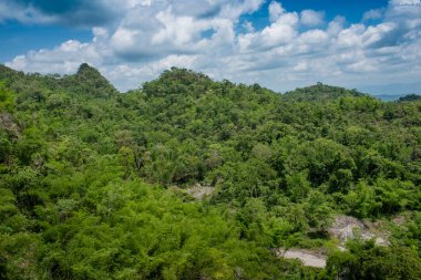 Yağmur ormanlarının ve dağ arka planının güzel manzarası. Tayland 'ın tropik ormanları.