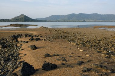 Deniz dalgaları plajda kayalara, kayalara ve denize çarpıyor. Okyanuslar ve dalgaları olan kayalar..