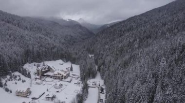 Winter aerial view of mountain landscape with snow-covered pine forest in Brasov county, Transylvania, at the foot of the Carpathians