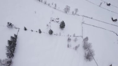 Romanya 'nın Transilvanya kentindeki Bran yakınlarındaki kırsal dağ manzarasının kış manzarası