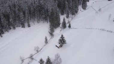 Winter aerial view of rural mountain landscape near Bran, in Transylvania, Romania