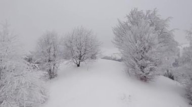 Romanya 'nın Transilvanya kentindeki Bran yakınlarındaki kırsal dağ manzarasının kış manzarası