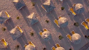 Aerial view of beach umbrellas and sunbeds on the beach in summer