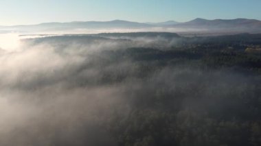 Aerial view of morning landscape over the foggy forest, in the Carpathian Mountains, during autumn
