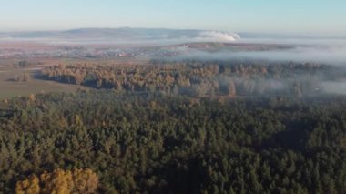 Sonbahar boyunca, Karpat Dağları 'ndaki sisli ormanın üzerindeki sabah manzarası.