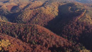Transilvanya 'daki Romanya geleneksel köyünün sonbahar kırsal manzarası. Karpat Dağları 'nın eteklerindeki hava renklerinde bir manzara.