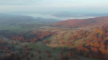 Aerial view of morning landscape over the foggy forest, in the Carpathian Mountains, during autumn