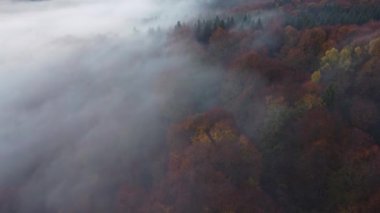 Aerial view of morning landscape over the foggy forest, in the Carpathian Mountains, during autumn