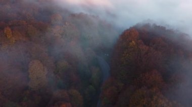 Aerial view of morning landscape over the foggy forest, in the Carpathian Mountains, during autumn