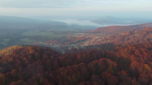 Flygfoto Över Morgonlandskapet Över Dimmiga Skogen Karpaterna Hösten — Stockvideo