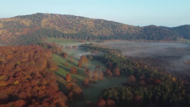 Aerial View Morning Landscape Foggy Forest Carpathian Mountains Autumn — ストック動画