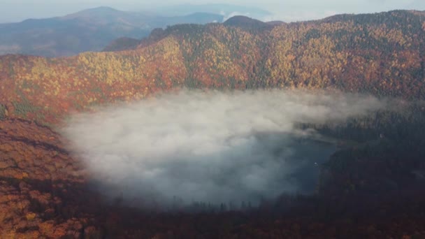 Aerial Autumn View Volcanic Mountain Lake Ana Lake Transylvania — kuvapankkivideo