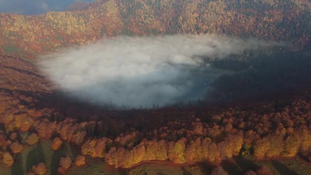 Aerial Autumn View Volcanic Mountain Lake Ana Lake Transylvania — 图库视频影像