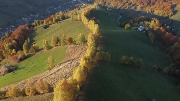 Höstens Landsbygd Den Rumänska Traditionella Byn Transsylvanien Flygfärgglada Landskap Vid — Stockvideo