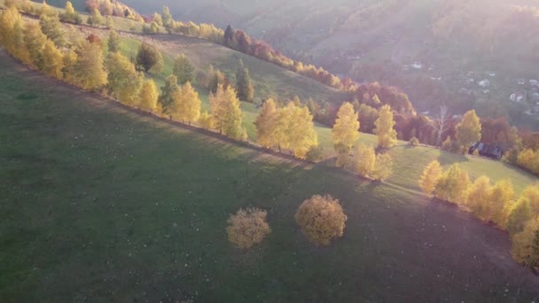 Herfst Landelijke Scène Van Roemeense Traditionele Dorp Transsylvanië Luchtfoto Kleurrijk — Stockvideo