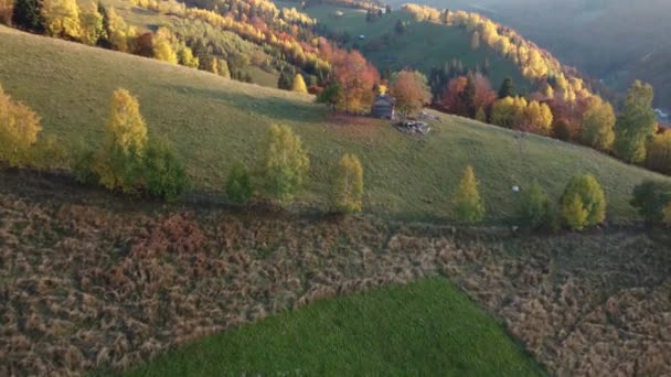 Autumn Rural Scene Romanian Traditional Village Transylvania Aerial Colorful Landscape — Vídeos de Stock