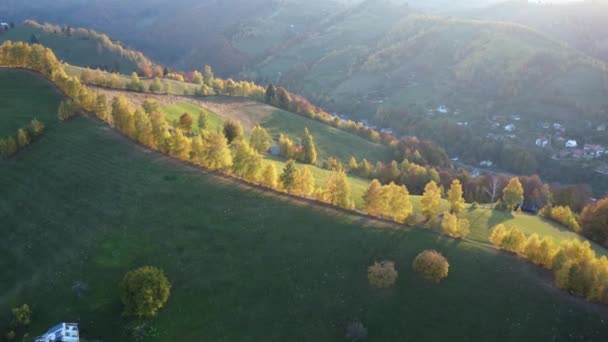 Herfst Landelijke Scène Van Roemeense Traditionele Dorp Transsylvanië Luchtfoto Kleurrijk — Stockvideo