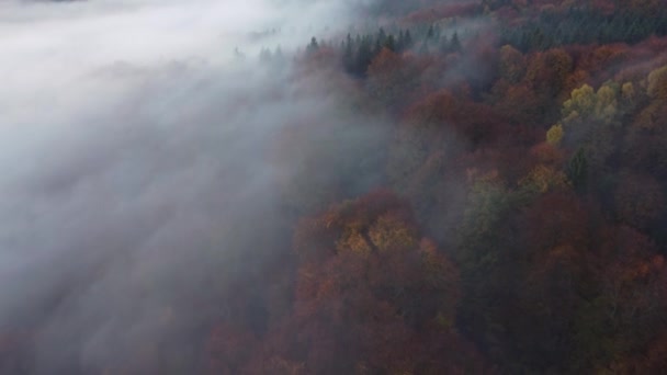 秋天喀尔巴阡山脉雾蒙蒙的森林上的晨景空中景观 — 图库视频影像