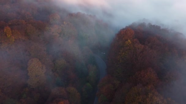 Légi Felvétel Reggeli Tájról Ködös Erdőre Kárpát Hegységben Ősszel — Stock videók