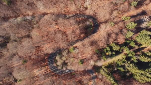 Kıvrımlı Bir Yolun Üzerindeki Hava Görüntüleri Sonbahar Sabahında Ormanın Içinden — Stok video