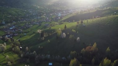 Bucovina 'da çiçek açan ağaçlı yeşil tepeler. Romanya 'nın dağlık bölgesinde çiçek açan kirazlarla ilkbahar manzarası