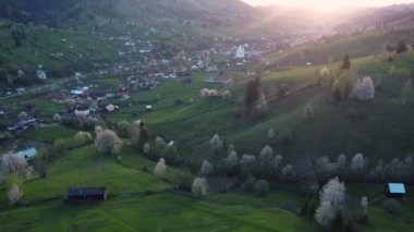 Bucovina 'da çiçek açan ağaçlı yeşil tepeler. Romanya 'nın dağlık bölgesinde çiçek açan kirazlarla ilkbahar manzarası