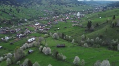 Bucovina 'da çiçek açan ağaçlı yeşil tepeler. Romanya 'nın dağlık bölgesinde çiçek açan kirazlarla ilkbahar manzarası