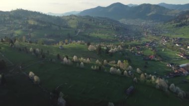 Bucovina 'da çiçek açan ağaçlı yeşil tepeler. Romanya 'nın dağlık bölgesinde çiçek açan kirazlarla ilkbahar manzarası