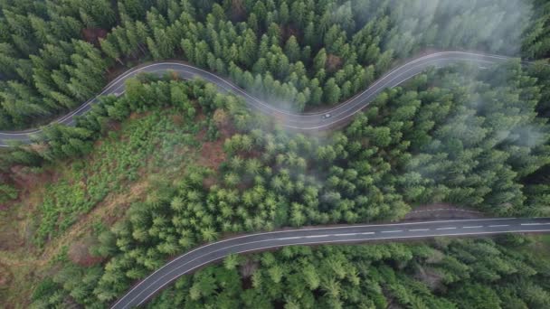 Aerial View Mountain Road Beautiful Forest Springtime Top View Winding — Stock Video