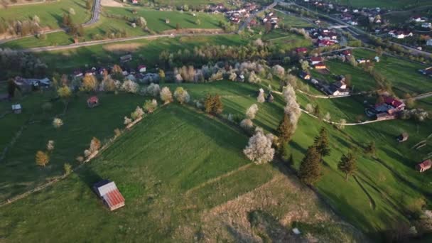 Groene Heuvels Met Bloeiende Bomen Bucovina Voorjaar Landelijk Landschap Met — Stockvideo