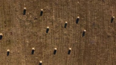 Samanlıklarla dolu bir tarla üzerinde hava manzarası