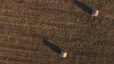 Samanlıklarla dolu bir tarla üzerinde hava manzarası