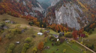 Brasov ilinin Transilvanya - Romanya kentindeki sonbahar renkleriyle dağlık kırsal manzaranın havadan görünüşü