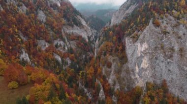 Transilvanya 'daki dağ manzarası - Romanya