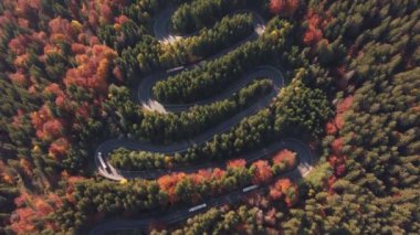 Renkli bir dağ yolunda giden arabaların havadan görünüşü yaprak döken ormanı kesiyor.