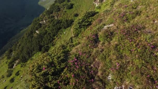 Letecký Pohled Horskou Krajinu Karpat Rumunsko — Stock video
