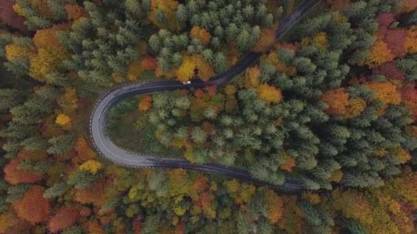 Αεροφωτογραφία Των Αυτοκινήτων Οδήγηση Ένα Πολύχρωμο Ορεινό Δρόμο Κοπή Μέσα — Αρχείο Βίντεο