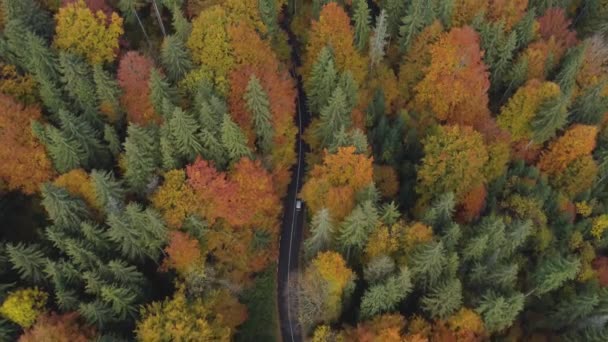 Αεροφωτογραφία Των Αυτοκινήτων Οδήγηση Ένα Πολύχρωμο Ορεινό Δρόμο Κοπή Μέσα — Αρχείο Βίντεο