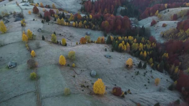Letecký Pohled Horskou Krajinu Podzimními Barvami Okrese Brasov Transylvánie Rumunsko — Stock video