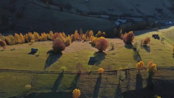 Luchtfoto Van Het Berglandschap Met Herfstkleuren Brasov Transsylvanië Roemenië — Stockvideo