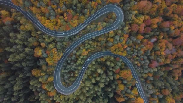 Luchtfoto Van Auto Die Een Kleurrijke Bergweg Door Het Loofbos — Stockvideo