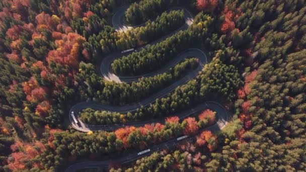 Aerial View Cars Driving Colorful Mountain Road Cutting Deciduous Forest — Stock Video