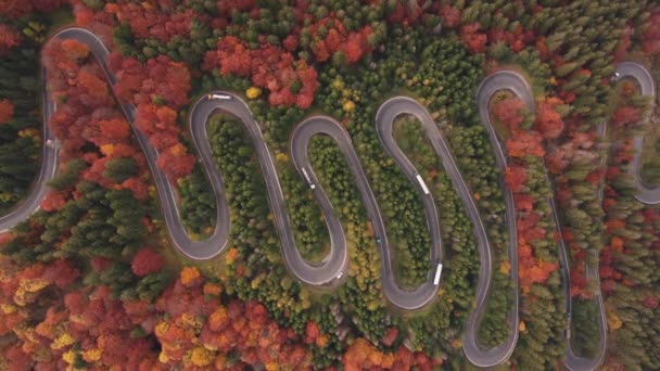Letecký Pohled Auta Jedoucí Barevné Horské Silnici Projíždějící Listnatým Lesem — Stock video