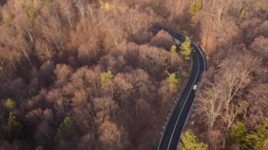 Bahar zamanı dağ yolunun havadan görünüşü. Dağ yolunda giden arabalar ormanı kesiyor. Romanya 'nın Allah Brasov kentine giden yolun üzerindeki dağ manzarası