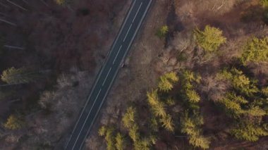 Bahar zamanı dağ yolunun havadan görünüşü. Dağ yolunda giden arabalar ormanı kesiyor. Romanya 'nın Allah Brasov kentine giden yolun üzerindeki dağ manzarası