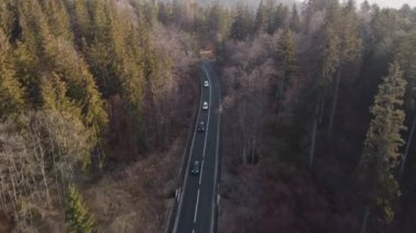 Bahar zamanı dağ yolunun havadan görünüşü. Dağ yolunda giden arabalar ormanı kesiyor. Romanya 'nın Allah Brasov kentine giden yolun üzerindeki dağ manzarası