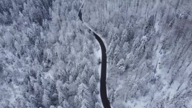 Romanya 'daki dağların ortasından geçen rüzgarlı ve eğimli bir yolun 4K' lık kış görüntüsü