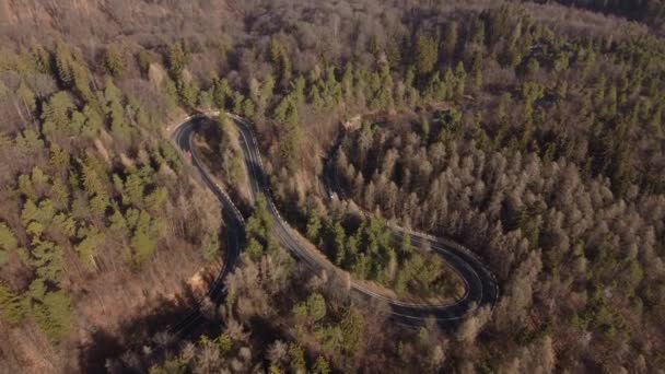 春天里山路的空中景观 汽车在蜿蜒的山路上行驶 穿过森林 通往罗马尼亚Poiana Brasov的道路上方的山区景观 — 图库视频影像