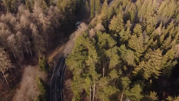 春の間の山道の空中ビュー 車は山の曲がりくねった道の森を介して切断運転 ルーマニアのポアニア ブラゾフにつながる道路の上の山の風景 — ストック動画