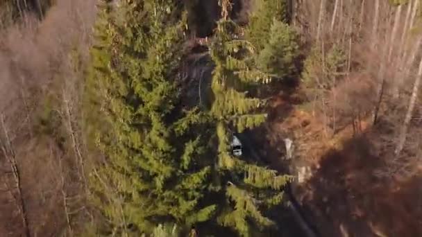 Letecký Pohled Horskou Cestu Během Jara Auta Projíždějící Lesem Horskou — Stock video